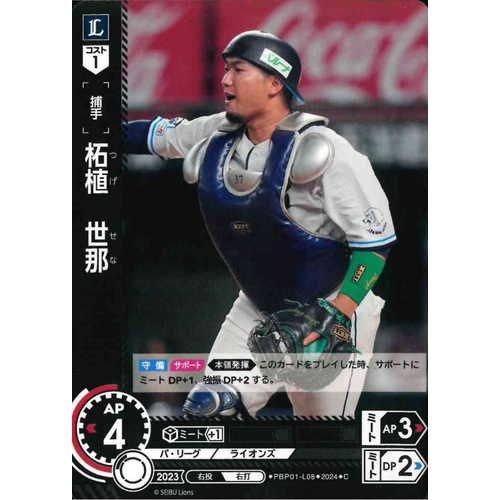 お*み様 週末限定大特価！西武ライオンズ柘植世那 実使用バックヘルメットNPB9 西武 2024C 柘植 世那[PBP01] - マロンの隠れ家ドットコム