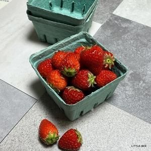 海外マルシェ袋大量セット 海外 マルシェ袋 10枚Set | カリテエプリセレクトショップ