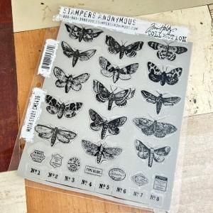 E-1279moth study