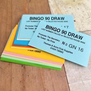 A-669 bingo pad