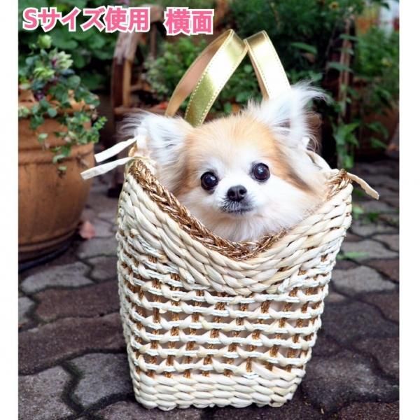 日本全国送料無料 オッティ Otty キャリーカゴバッグ S 小型犬 犬用 ペット キャリーバッグ セレブ 新規購入 Titanicgroup Com 日本全国送料無料 オッティ Otty キャリーカゴバッグ S 小型犬 犬用 ペット キャリーバッグ セレブ 新規購入 Titanicgroup Com