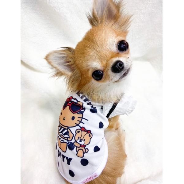 ハローキティ 子犬の散歩 パピヨン ハローキティ 子犬の散歩 パピヨン ハローキティ 子犬の散歩 パピヨン