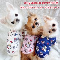 <img class='new_mark_img1' src='https://img.shop-pro.jp/img/new/icons1.gif' style='border:none;display:inline;margin:0px;padding:0px;width:auto;' />HELLO KITTYܡå-ҡȥT