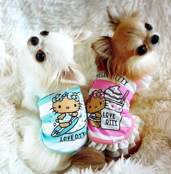 ○Otty×HELLO KITTY ボーダー柄・日焼けキティCOOLタンク＆ワンピ