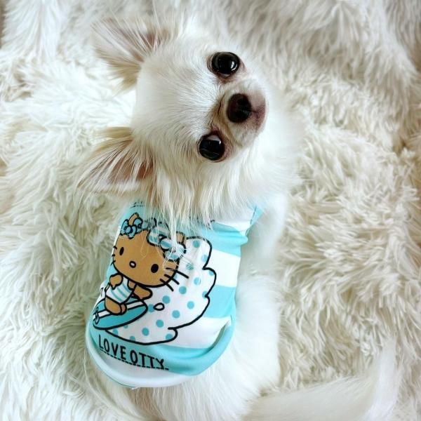 ○Otty×HELLO KITTY ボーダー柄・日焼けキティCOOLタンク＆ワンピ