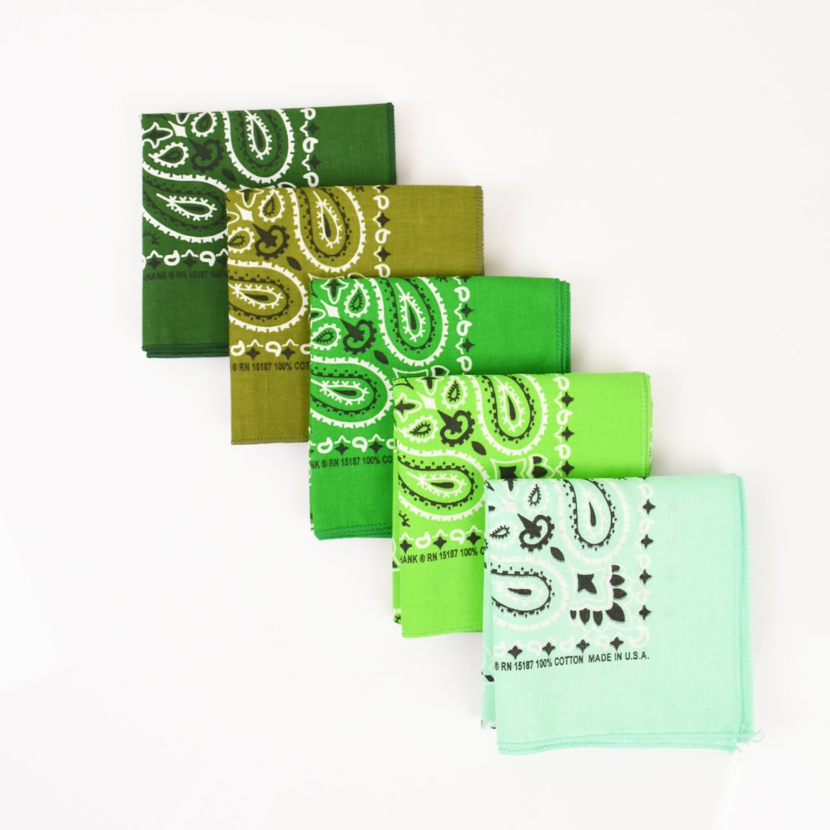 【HAV-A-HANK】Made in U.S.A Bandanna (5Color) Type-F
                          </a>
            <span class=