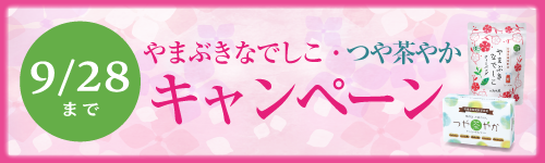 ޤ֤иڡ