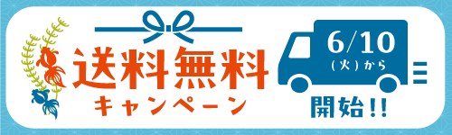 送料無料