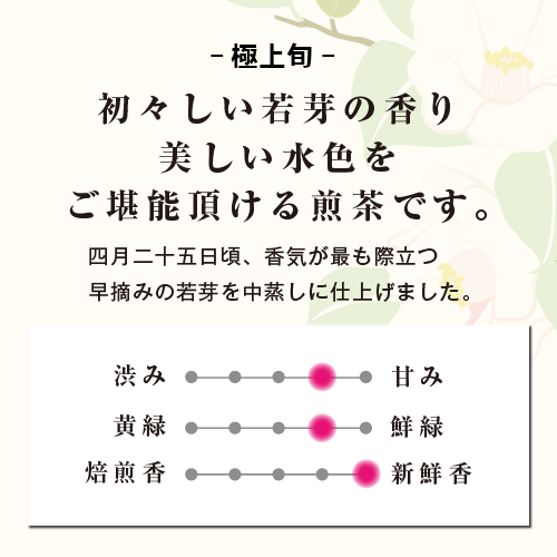森町 遠州森の茶 おさだ苑 深むし茶 極上旬100g