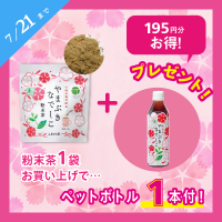 <img class='new_mark_img1' src='https://img.shop-pro.jp/img/new/icons25.gif' style='border:none;display:inline;margin:0px;padding:0px;width:auto;' />ڴָͭȯԻҡ40gʴʥڥåȥܥȥ룱դˡ֡3955ۤξʲ