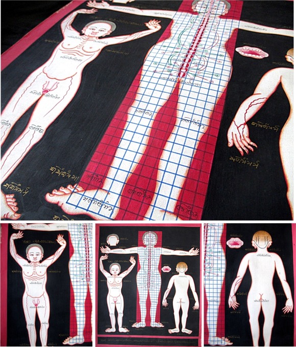 ŵ޽磱