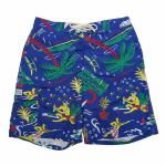 <img class='new_mark_img1' src='https://img.shop-pro.jp/img/new/icons5.gif' style='border:none;display:inline;margin:0px;padding:0px;width:auto;' />Polo Ralph Laurenݥե<br>衦̤ȯǥ<br>SWIM SHORTS<br>ॷ硼<br>ݡդξʲ