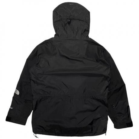 THE NORTH FACEノースフェイスからGORE-TEX MOUNTAIN LIGHT JACKET