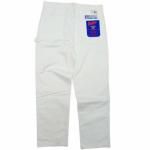  DICKIESSHERWIN WILLIAMS ǥåߥ㡼󡦥ꥢॺ 衦̤ȯ PAINTER PANTS ڥ󥿡ѥĤξʲ