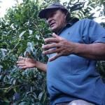 <img class='new_mark_img1' src='https://img.shop-pro.jp/img/new/icons5.gif' style='border:none;display:inline;margin:0px;padding:0px;width:auto;' />ꥫ֥ȥǥ롦٥ۥʥ/顦ޡץߥǥ 200g