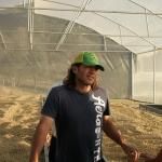 <img class='new_mark_img1' src='https://img.shop-pro.jp/img/new/icons5.gif' style='border:none;display:inline;margin:0px;padding:0px;width:auto;' />ꥫ֥󥿥ƥ쥵2000/ƥԥåɥϥˡסϥ 150g