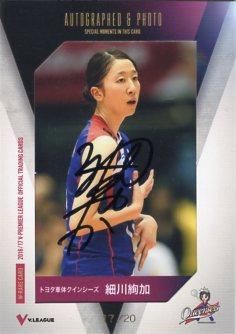 Vプレミアリーグ女子　直筆サイン入り　ポスター　抽選当選品　女子バレー Vプレミアリーグ女子 直筆サイン入り ポスター 抽選当選品 女子