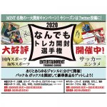 2020/11/9　『2020 なんでもトレカ開封選手権』第1回ピックアップ賞結果発表！