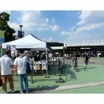 商品検索 - トレーディングカード・トレカ専門店 ミント