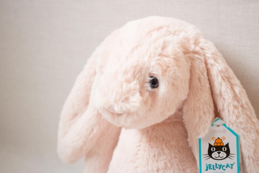 Original Bashful Beau Bunnyうさぎ Amazon.com: Jellycat Bashful
