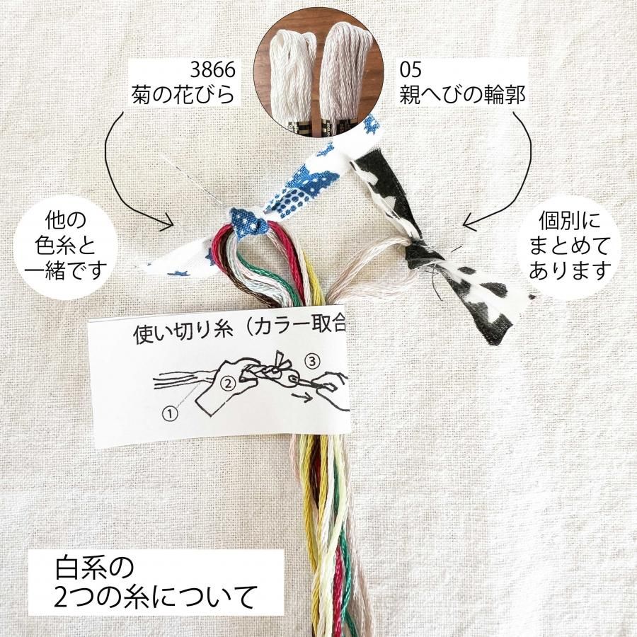 きくお フレームマグネットミラー まとめ売り