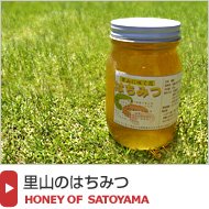 国産天然蜂蜜【里山のはちみつ】