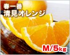 清見オレンジ Mサイズ 5kg