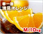 清見オレンジ Mサイズ 10kg