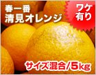 ワケアリ清見オレンジ サイズ混合 5kg