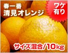 ワケアリ清見オレンジ サイズ混合 10kg