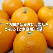 ご家庭用・ワケアリ清見(きよみ)オレンジ