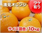 清見(きよみ)オレンジ サイズ混合/10kg