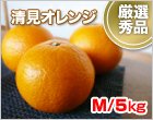 清見(きよみ)オレンジ Mサイズ/5kg