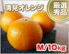 清見(きよみ)オレンジ Mサイズ/10kg