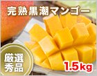 黒潮マンゴー 3〜5玉/1.5kg