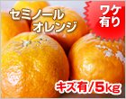 セミノールオレンジ サイズ混合/5kg