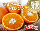 セミノールオレンジ Lサイズ/5kg