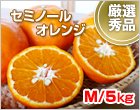 セミノールオレンジ Mサイズ/5kg