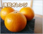 清見(きよみ)オレンジ
