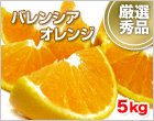 バレンシアオレンジ 5kg