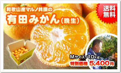 秀品 有田みかん マルノ共撰の晩生みかん 和歌山県有田産 Mサイズ 10kg 送料無料 紀州食彩工房 梅干 有田みかん 和歌山グルメお取り寄せ