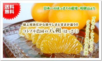 <img class='new_mark_img1' src='https://img.shop-pro.jp/img/new/icons51.gif' style='border:none;display:inline;margin:0px;padding:0px;width:auto;' />²λͭĻۥȥ֥ΡڤĤȬ(Ϥä)ۡ2L/5kgա̵