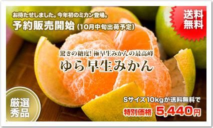 <img class='new_mark_img1' src='https://img.shop-pro.jp/img/new/icons51.gif' style='border:none;display:inline;margin:0px;padding:0px;width:auto;' />Ըա²λͭĻۥȥ֥ΡڤߤۡS/10kgա̵