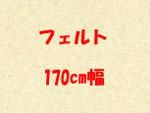 ե 170cm