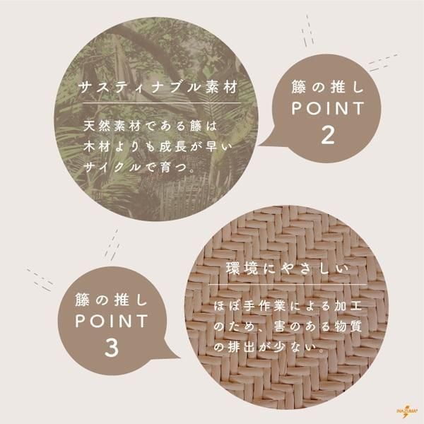 ʥ ۻ RM-6 ꤵ Rattan ڻͲ3