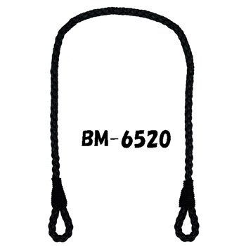 ʥ  BM-6520 