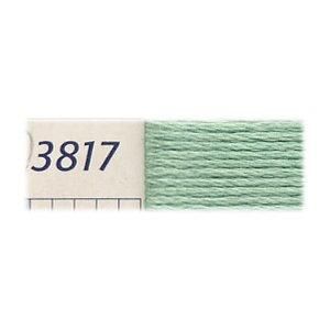 【0077540394968】DMC刺繍糸 25番 3817
