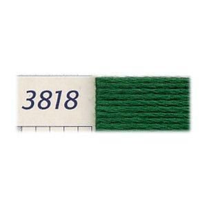 【0077540394975】DMC刺繍糸 25番 3818