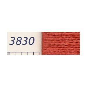 【0077540395095】DMC刺繍糸 25番 3830