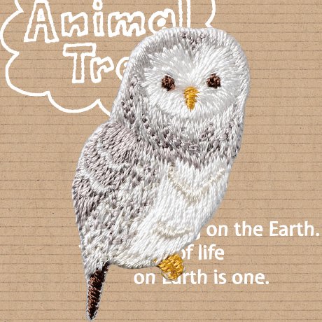 4977444256392ۥϥޥʥ ɤ夦 åڥ Animal Tree H459-020 3祻å ڻͲ1